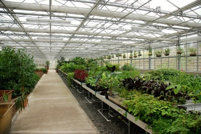 Botanické zajímavosti Zoo Ostrava: Den otevřených dveří skleníků