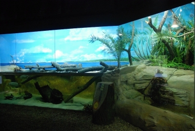 Rok 2011 v Zoo Ostrava
