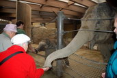 Zážitkové programy v Zoo Ostrava