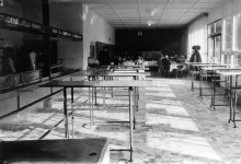 Nejvěším chovatelským úspěchem r. 1983 byl odchov tapíra čabrakového. Tento druh se v ostravské zoo rozmnožoval podruhé.