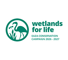 Wetlands for Life 2026-2027