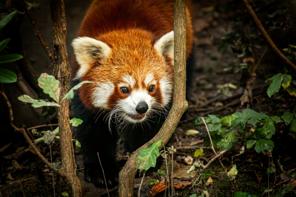 Inspirace na smysluplný dárek