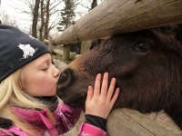 Ester Pelikánová, 10 let