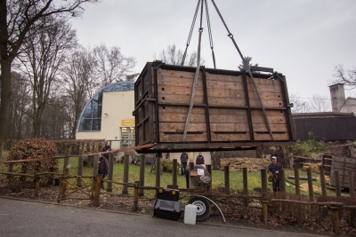 Teď ještě naložit transportní bednu s hrochem na auto…