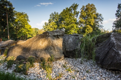 Štěrkový záhon_foto P.Vlček