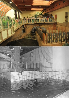 Porównanie wnętrz pawilonu z roku 2012 i z roku  1975