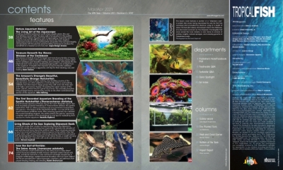 Časopis Tropical Fish Hobbyist