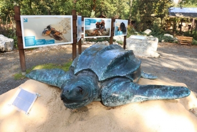 Model kožatky v zoo