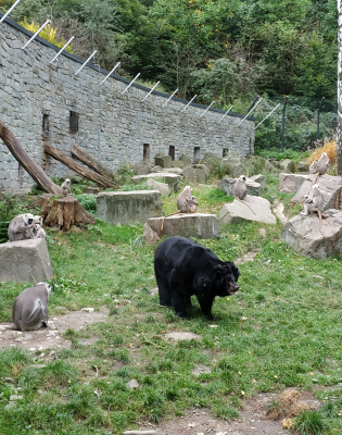 Czitwan