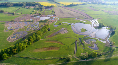 Kozmickie Ptasie Łąki z lotu ptaka