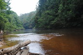 Národní park Taman Negara. Foto: Jonathan Kelly