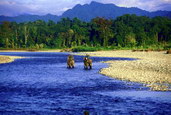 Sloni indičtí v údolí Hukaung. Foto: WCS Huakung Myanmar Programme