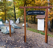 A cemetery of extinct species 